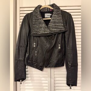 Doma Black Leather Jacket with Patterned Collar